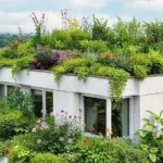 Projetos telhado verde sustentável: transforme sua casa com natureza